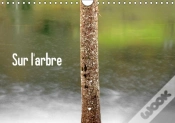 Capa do artigo Sur L Arbre Calendrier Mural 2018 Din A4 Horizontal