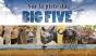 Sur La Piste Du Big Five (Livre + Dvd) - Preview