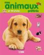 Sur Le Bout De La Langue ; Mes Animaux Préférés En 150 Photos - Preview