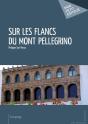 Sur Les Flancs Du Mont Pellegrino - Preview