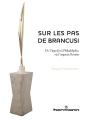 Sur Les Pas De Brancusi - Preview