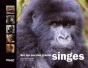 Sur Les Pas Des Grands Singes - Preview