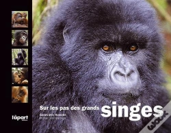 Capa do artigo Sur Les Pas Des Grands Singes