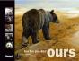 Sur Les Pas Des Ours - Preview