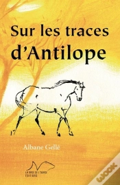 Capa do artigo Sur Les Traces D Antilope