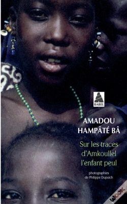 Capa do artigo Sur Les Traces D'Amkoullel, L'Enfant Peul