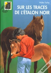 Capa do artigo Sur Les Traces De L