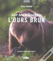 Capa do artigo Sur Les Traces De L
