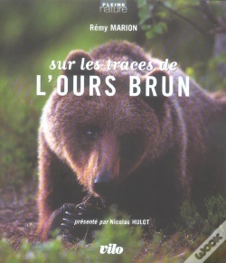 Capa do artigo Sur Les Traces De L'Ours Brun