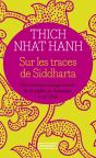 Sur Les Traces De Siddhartha - Preview