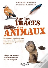 Sur Les Traces Des Animaux