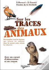 Capa do artigo Sur Les Traces Des Animaux