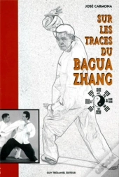 Sur Les Traces Du Bagua Zhang