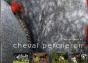 Sur Les Traces Du Cheval Percheron - Preview