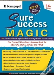 Capa do artigo Sure Success Magic