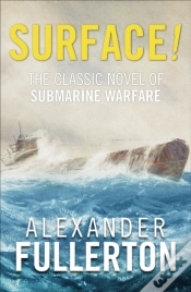 Capa do artigo Surface!