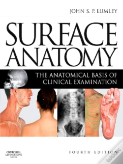 Capa do artigo Surface Anatomy
