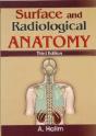 Surface And Radiological Anatomy - Preview
