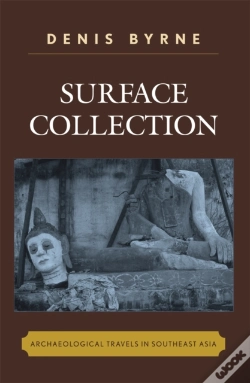 Capa do artigo Surface Collection
