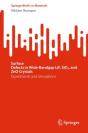 Surface Defects In Wide-Bandgap Lif, Sio2, And Zno Crystals - Preview