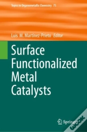 Capa do artigo Surface Functionalized Metal Catalysts