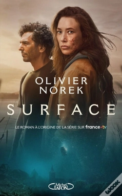Capa do artigo Surface