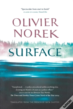 Capa do artigo Surface