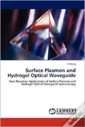Capa do artigo Surface Plasmon And Hydrogel Optical Waveguide