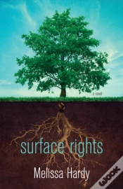 Capa do artigo Surface Rights