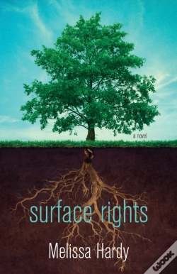 Capa do artigo Surface Rights