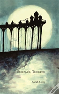 Capa do artigo Surface Tension