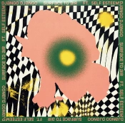 Capa do artigo Surface To Air - Vinil