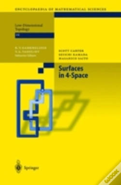 Capa do artigo Surfaces In 4-Space
