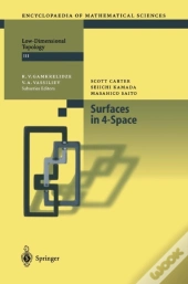 Surfaces In 4-Space