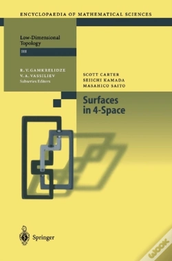 Capa do artigo Surfaces In 4-Space