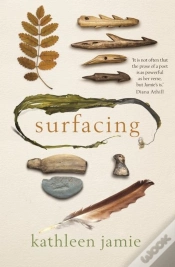 Capa do artigo Surfacing