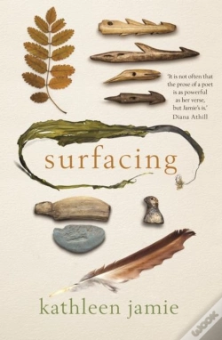 Capa do artigo Surfacing