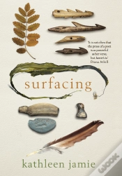 Capa do artigo Surfacing