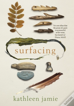 Capa do artigo Surfacing