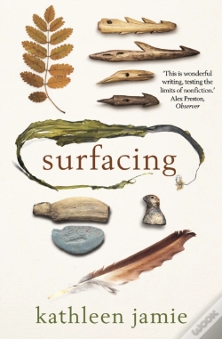 Capa do artigo Surfacing