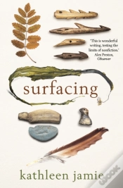 Capa do artigo Surfacing