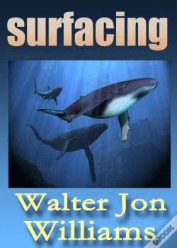 Capa do artigo Surfacing (Novella)