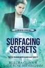 Surfacing Secrets - Preview