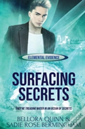Capa do artigo Surfacing Secrets
