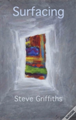 Capa do artigo Surfacing