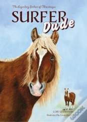 Capa do artigo Surfer Dude