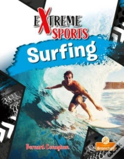 Capa do artigo Surfing