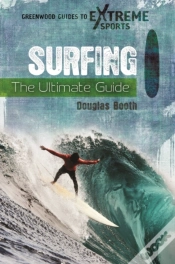 Capa do artigo Surfing