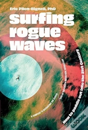 Capa do artigo Surfing Rogue Waves