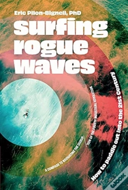 Capa do artigo Surfing Rogue Waves